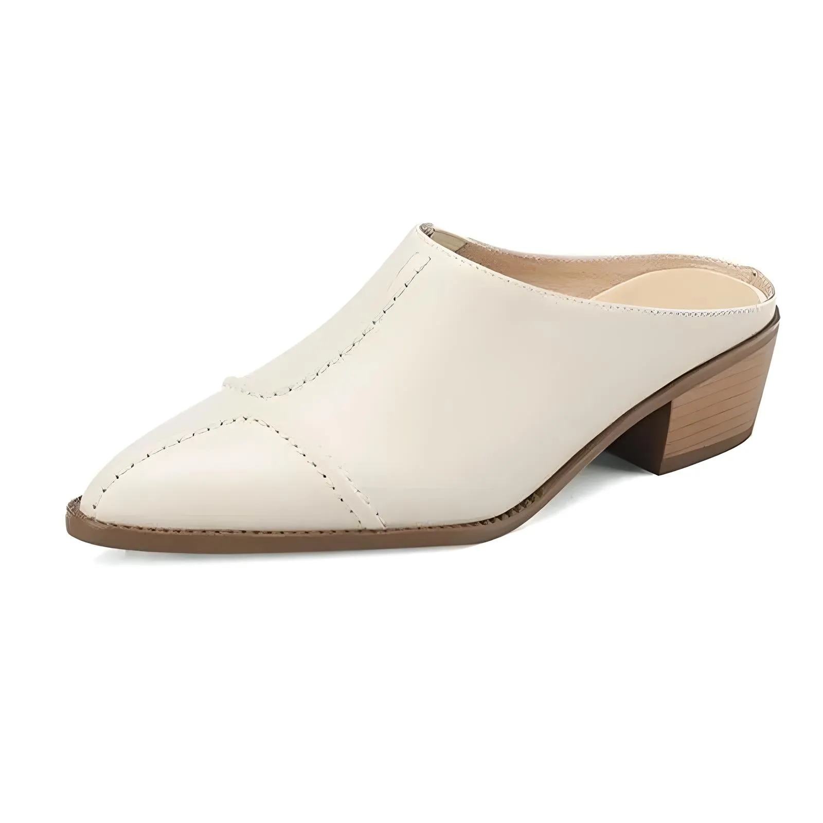 Merendy Lijepog Pointed-Toe Chunky Mid-Heel Mules